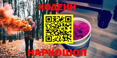 мдпв Камышлов
