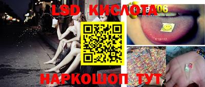 мдпв Камышлов