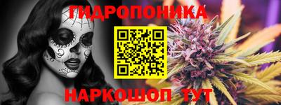 мдпв Камышлов