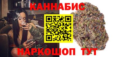 мдпв Камышлов