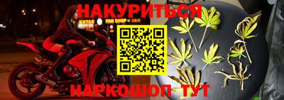 мдпв Камышлов