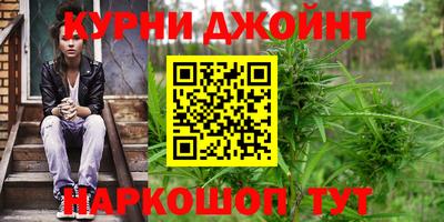 мдпв Камышлов