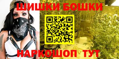 мдпв Камышлов