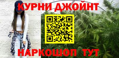 мдпв Камышлов