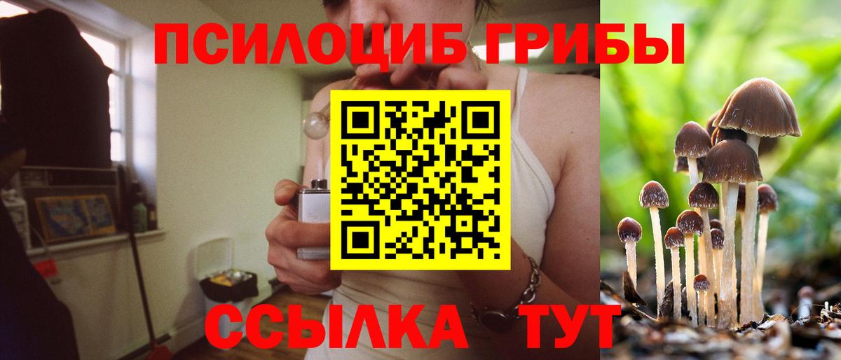 Псилоцибиновые грибы MAGIC MUSHROOMS  Вход с VPN  Кудымкар 