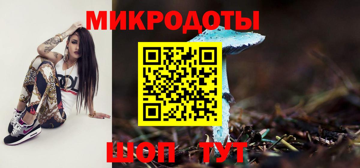 Псилоцибиновые грибы Psilocybe Кудымкар