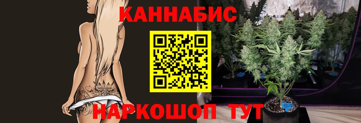 МАРИХУАНА план  Вход с VPN  Кудымкар  Конопля индика  Каннабис сатива  Шишки марихуана план 